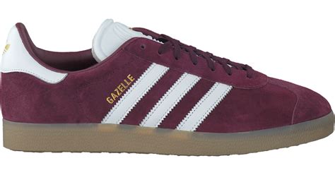 adidas gazelle heren bordeaux rood|adidas gazelle sandalen.